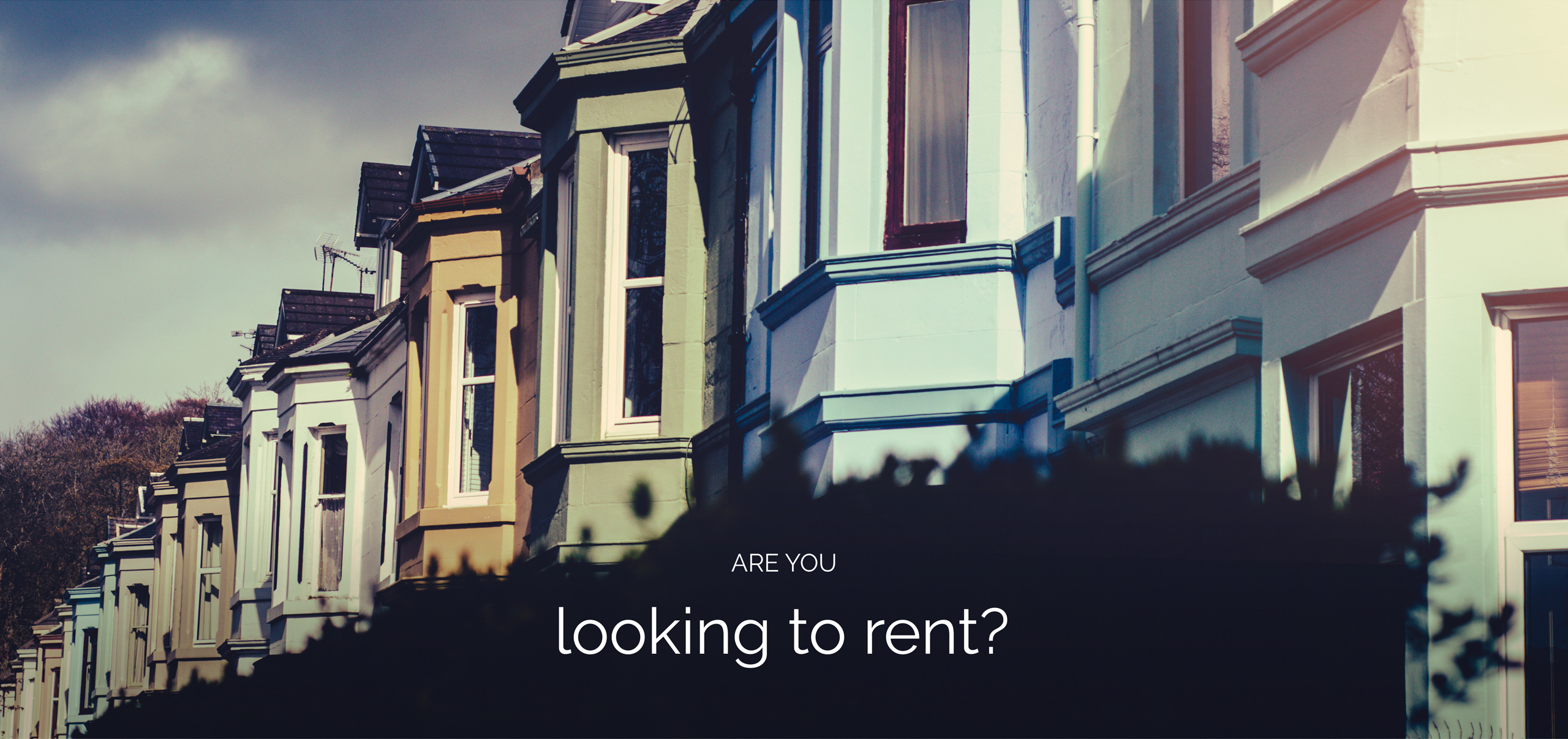 Looking To Rent Banner Image